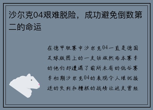 沙尔克04艰难脱险，成功避免倒数第二的命运